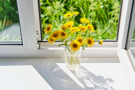 Bouquet of yellow wild meadow flowers in glass vase on window sill of rural house in sunlight.の写真素材