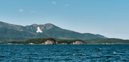 Chivyrkuisky Bay of Lake Baikal.Bolshoy Kyltygey island. Zabaikalsky National Park,Buryatia,Russiaの写真素材