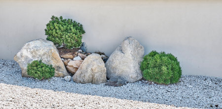 Landscape composition of large stones and decorative coniferous plants near plastered gray wall.の写真素材