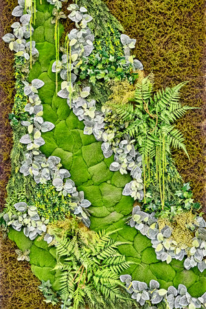 Wall from stabilized plantsの写真素材