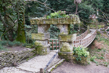 Wooden suspension bridge over stream located in Caucasian part of Sochi arboretum. Landscaping, travel conceptの写真素材