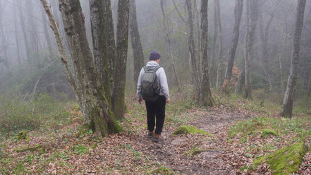 Man with backpack walks along path in relic fog forest. rear view. Fabulous, mysterious natural landscape. Paradise Place Arboretum Park, Sochi, Russia. Outdoor activities, natural locations concept.の写真素材