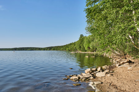 Stony shore of ancient lake Shartash near Yekaterinburg, Ural, Russia. summer landscapeの写真素材