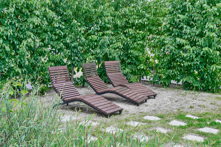 Three wooden benches for lying on a clearing among the trees in a summer city public park. concept landscape designの写真素材