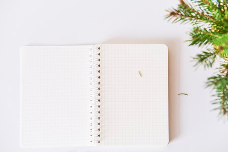 Blank sheets of opened checkered notebook, christmas tree branches, fallen needles.の写真素材