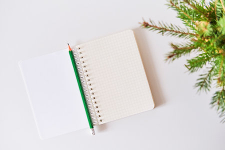 Blank sheets of opened checkered notebook, christmas tree branches, green pencil.の写真素材