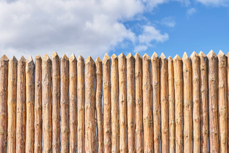 Palisade and cloudy sky as abstract rustic or historical background. Fence made of tightly driven...
