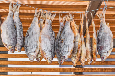 Dried river fish hanging in row on wire. Market near pier on Kama River, Russiaの写真素材
