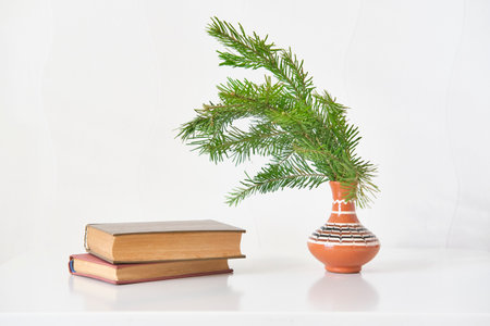 Fresh fir branch arranged in traditional clay vase next to stack of vintage books on white surface. Minimalist and rustic home decor with natural elements.の写真素材