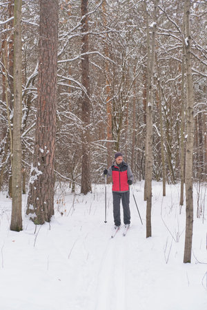 Senior man cross-country skiing through snow-covered forest, wearing warm vest, beanie, and gloves. He uses ski poles while gliding on snowy ski track surrounded by tall trees.の写真素材