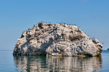 Cormorants perching on rocky White Stone island in calm waters under clear blue sky. Chivyrkuisky Bay, Lake Baikal, Russia. Copy spaceの写真素材