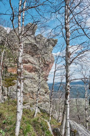 Scenic spring view of a rocky cliff surrounded by leafless birch trees under a bright blue sky in mountainous forest area. climbing wall area, Taganay National Park, Southern Urals, Russia.の写真素材