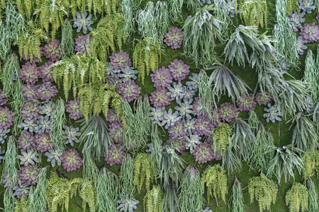 Lush vertical garden wall featuring a dense mix of preserved green ferns, trailing foliage, and pastel-colored succulents. Natural biophilic design element for interiors or eco-friendly architecture.の写真素材
