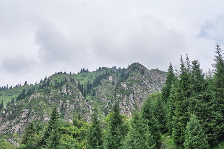 Scenic mountain landscape with steep rocky slopes and dense evergreen coniferous forest under an overcast sky. Small Almaty Gorge, part of Zailisky Alatau range, Kazakhstan. Copy spaceの写真素材