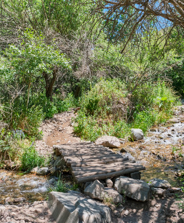 Rustic small wooden bridge crosses a clear mountain stream along a dirt hiking trail surrounded by dense green forest in Turgen Gorge on a sunny summer day, Kazakhstanの写真素材