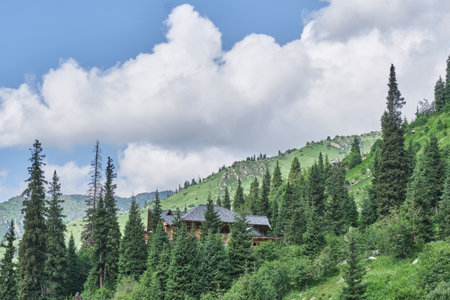 Scenic view of wooden cabin surrounded by evergreen trees on green mountain slope under blue sky with white clouds. Peaceful summer landscape. Solitude, escape, tranquility, and harmony with natureの写真素材
