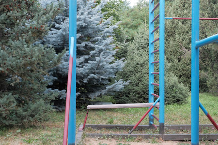 Colorful metal workout bars in empty outdoor gym surrounded by green and blue fir trees. Concept of...