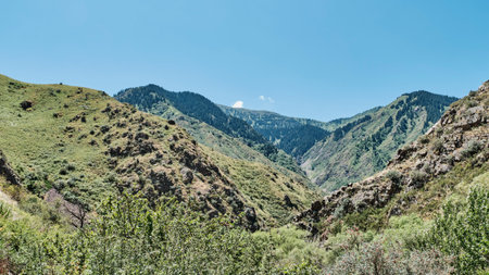 Panoramic summer view of the deep Turgen Gorge in the Zailiysky Alatau mountains, Kazakhstan. Slopes covered with lush greenery and coniferous forests.の写真素材
