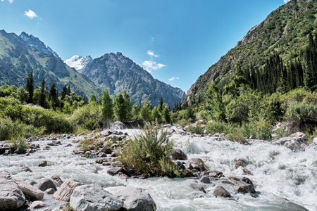 Dynamic glacial river flowing through the stunning Ala-Archa Gorge, Kyrgyzstan. Snow-capped peaks and steep slopes covered with green forests under a clear blue sky.の写真素材