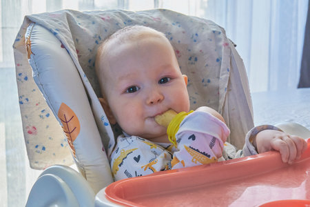 Close-up portrait of adorable infant in high chair, wearing printed outfit, looking at camera while happily chewing on yellow fruit-shaped silicone teether.の写真素材