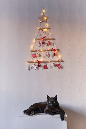 Handsome black cat lounges on white chest of drawers beneath unique, handmade Christmas tree made of wooden sticks, string, and lights, adorned with red and white ornaments on textured wall.の写真素材