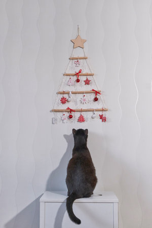 Sleek black cat sits on white cabinet, looking up intently at modern, handmade Christmas tree made of wooden sticks and string, decorated with red and white ornaments on textured wall.の写真素材