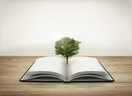Open book with treeの写真素材