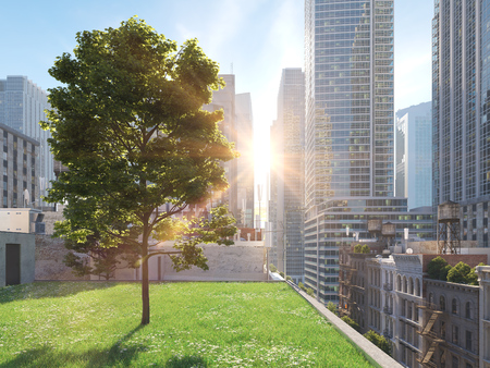 garden in a big city. living concept. 3d renderingの写真素材