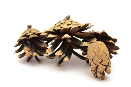 Conesの写真素材