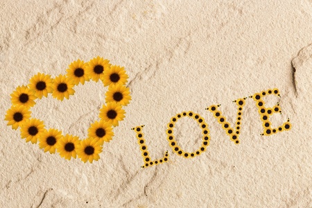 	Flower heartの写真素材