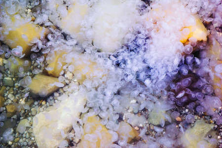 Plenty of jellyfishes, underwater photo
