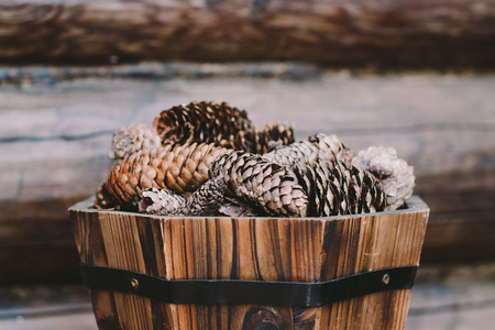 Old pine cones in wooden potの写真素材