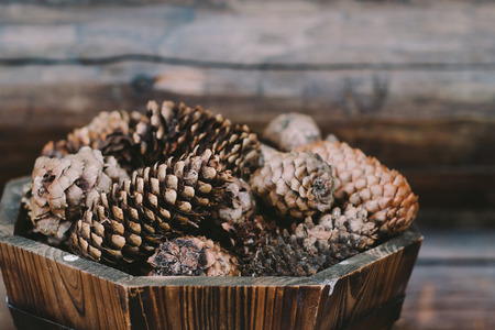 Close-up of the old pine cones in wooden potの写真素材