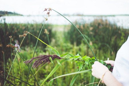 Woman gathering bulrush on the lake