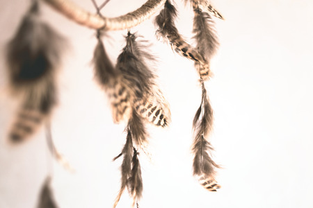 Feathers of dreamcatcherの写真素材