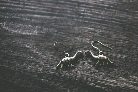 Silver dinosaur earringsの写真素材