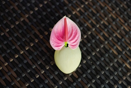 Beautiful pink flower and stone on bamboo tableの写真素材