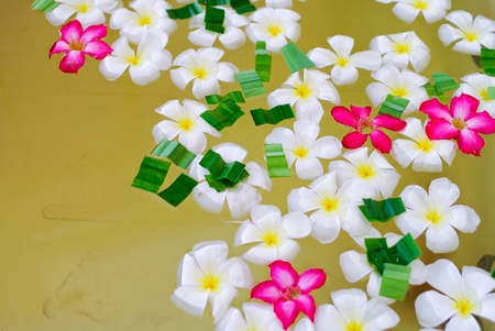 Relaxing spa flowers in water