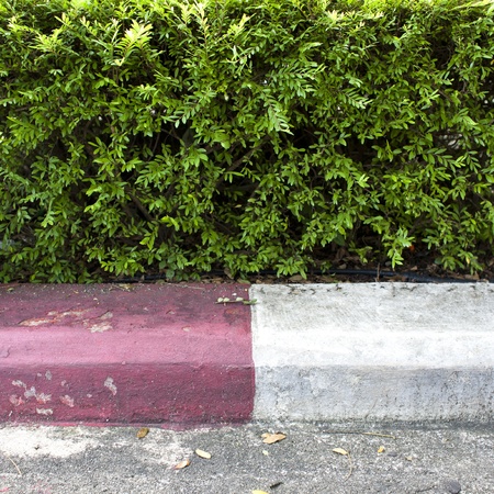 Green leaf background texture with red and white sign on road