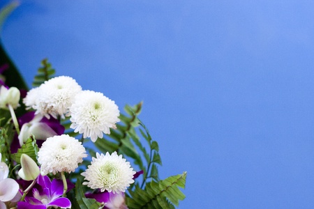 Blue bouquet flowers closeupの写真素材