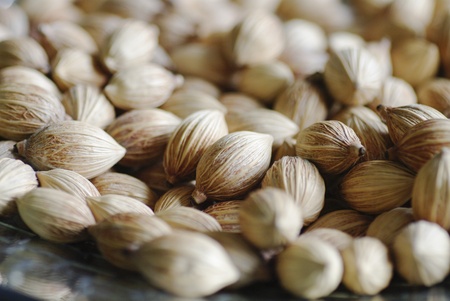 Almond close up