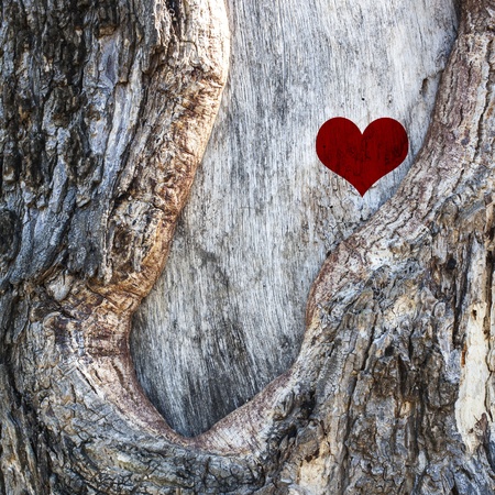 Heart of natureの写真素材