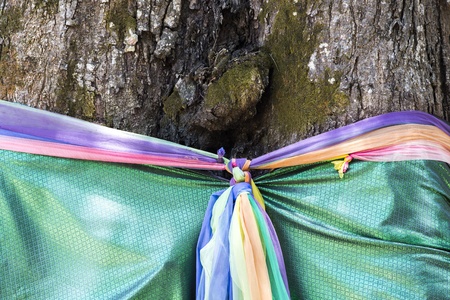 Faith tree with holy fabricの写真素材