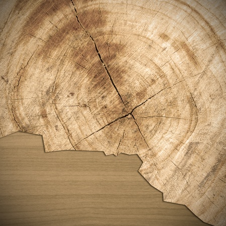 Wood surface texture backgroundの写真素材