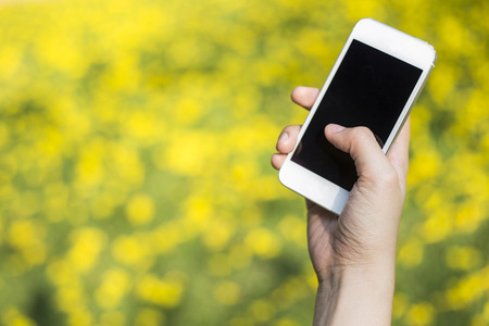 Woman hand holding smartphone against spring green and yellow flowers backgroundの写真素材