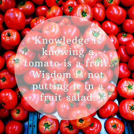 Knowledge is knowing a tomato is a fruit. Wisdom is not putting it in a fruit salad. Good quote.の写真素材