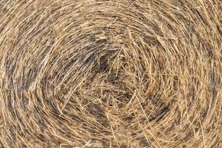 Roll straw texture and backgroundの写真素材