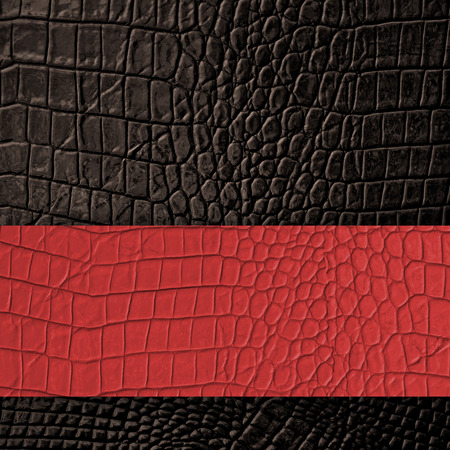 Brown Leather and red space background and texture の写真素材