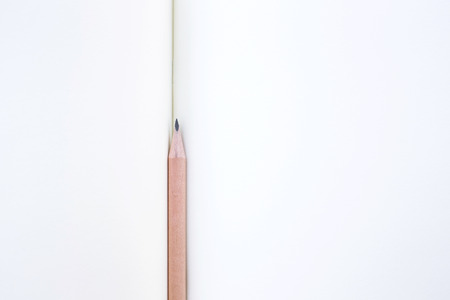 Wood pencil on blank paperの写真素材