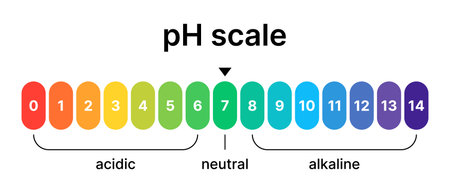 Ph acid and base balance scale. Value on the meter indicator. Design of a test for water, skin, and food using litmus paper.のイラスト素材